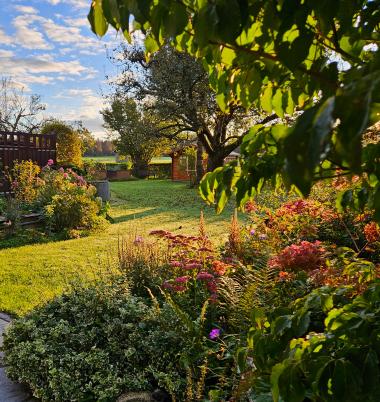 Herbstimpressionen 5